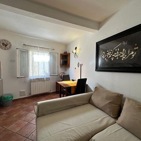 Pitti Apartment フィレンツェ エクステリア 写真